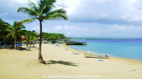 photos for SOSUA: APARTMENT ALEXANDER